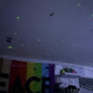 Meet your Posher, Freya